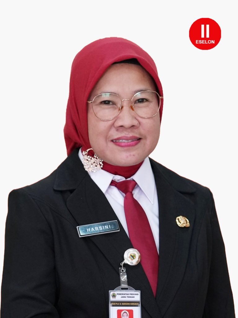 Dr. dr. HARSINI, Sp. P, M.M.R