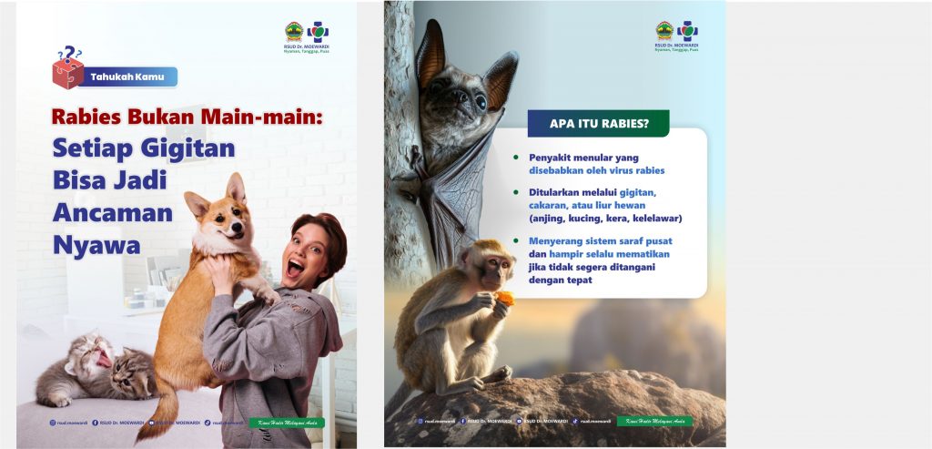 Tahukah Kamu? Rabies Bukan Main-Main: Setiap Gigitan Bisa Jadi Ancaman Nyawa