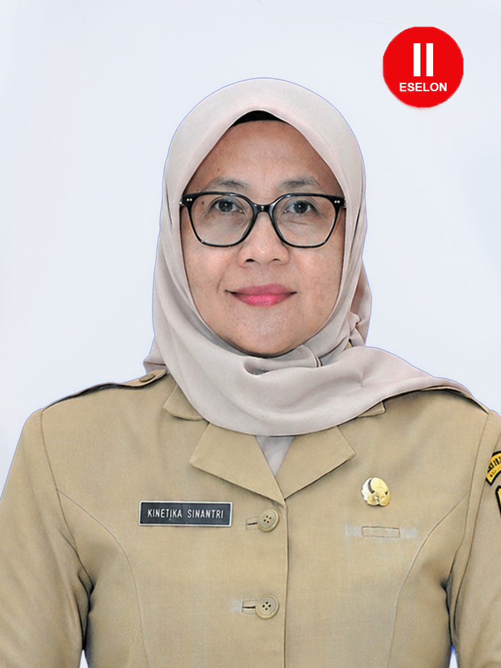 KINETIKA SINANTRI, SKM,MM