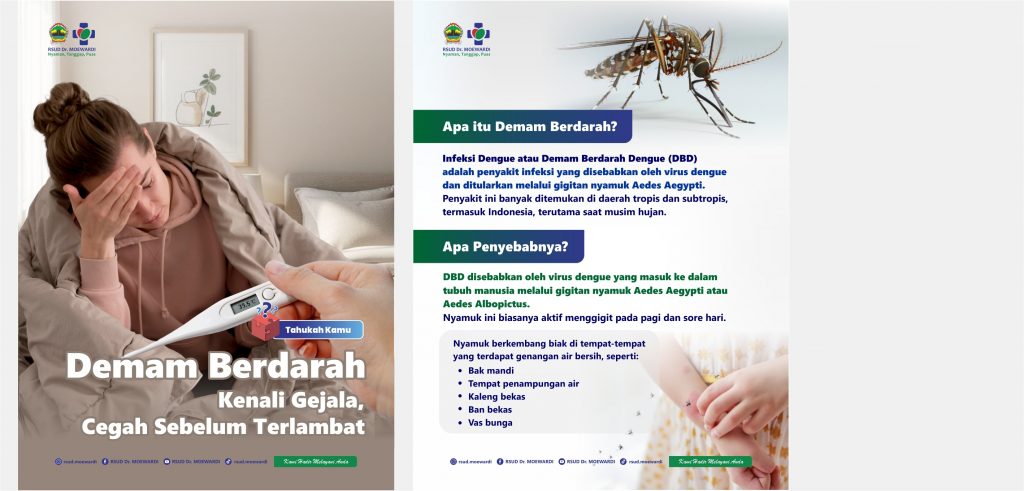 Tahukah Kamu? Demam Berdarah Kenali Gejala, Cegah Sebelum Terlambat